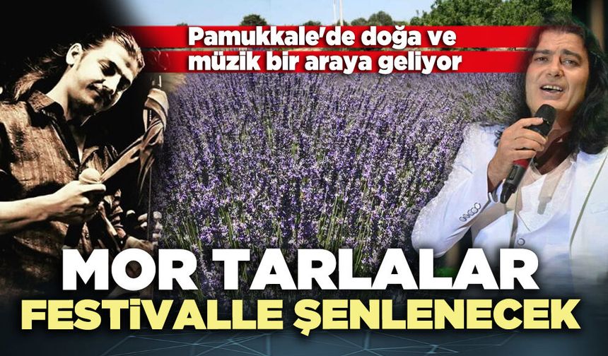 Mor tarlalar festivalle şenlenecek