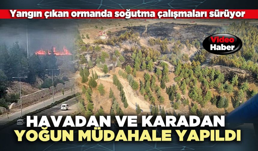 Orman yangınına havadan ve karadan yoğun müdahale yapıldı