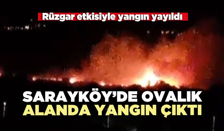 Sarayköy’de ovalık alanda yangın çıktı