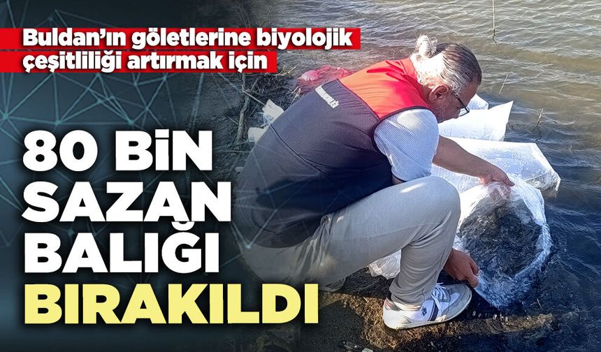 80 Bin sazan balığı bırakıldı