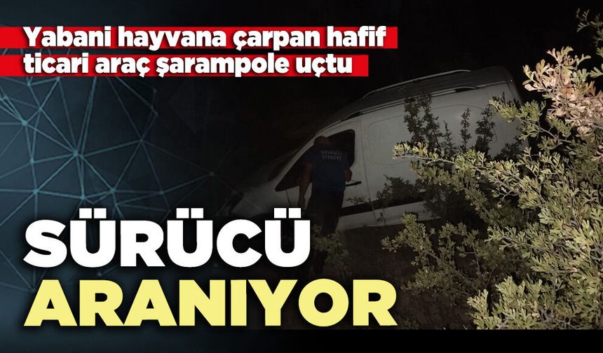 Yabani hayvana çarpan hafif ticari araç şarampole uçtu: Sürücü aranıyor
