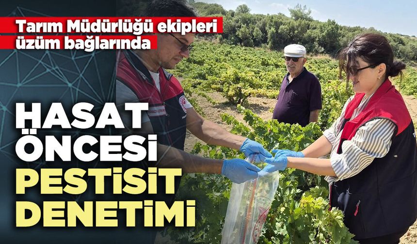 Hasat öncesi pestisit denetimi