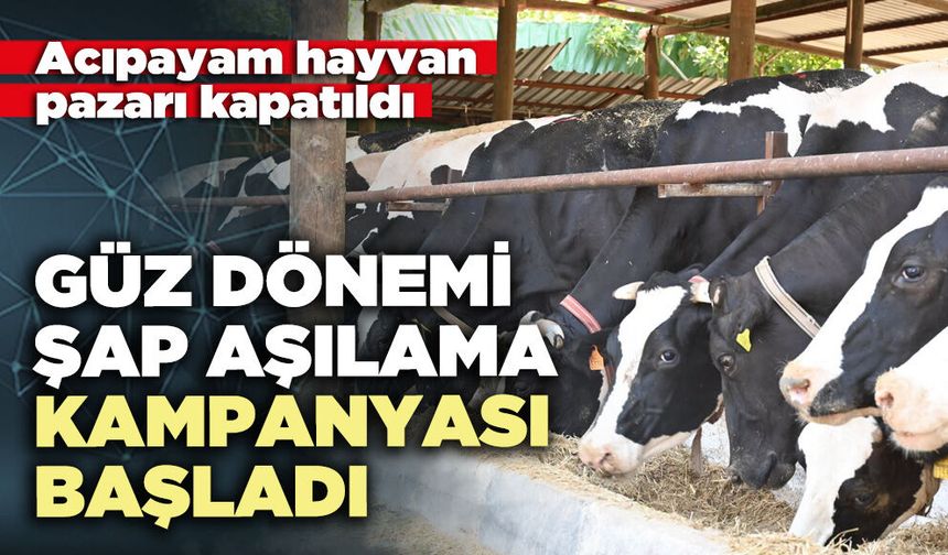 Güz dönemi şap aşılama kampanyası başladı