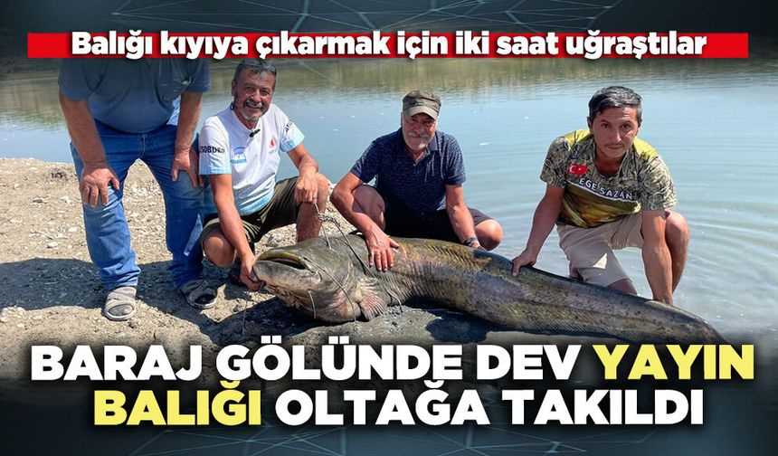 Baraj Gölünde iki dev yayın balığı oltağa takıldı