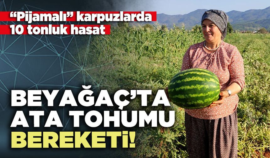 Beyağaç’ta ata tohumu bereketi!
