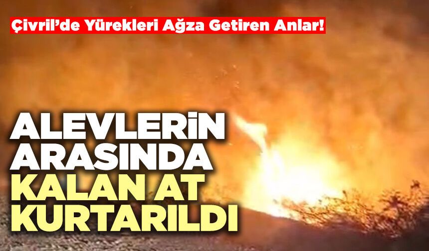 Çivril’de Alevlerin Arasında Kalan At Kurtarıldı