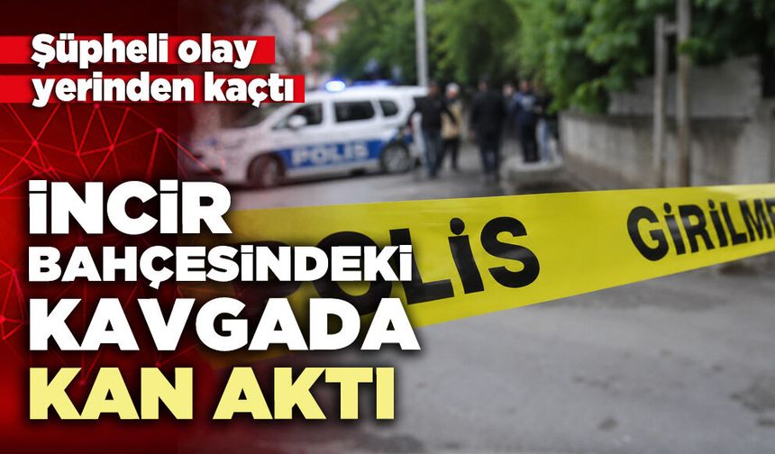 İncir bahçesindeki kavgada kan aktı