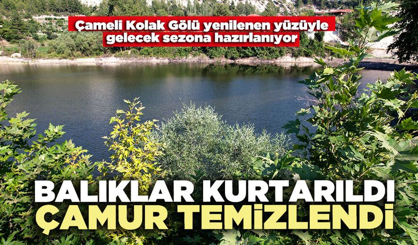 Balıklar kurtarıldı çamur temizlendi