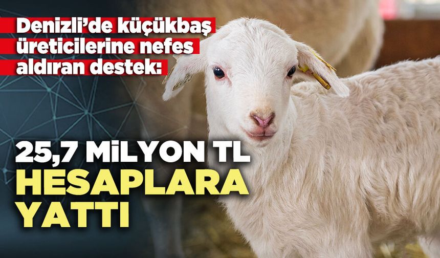 Denizli’de küçükbaş üreticilerine nefes aldıran destek: 25,7 Milyon TL hesaplara yattı