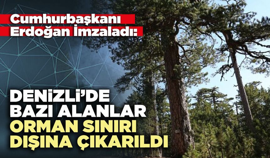Denizli’de bazı alanlar orman sınırı dışına çıkarıldı