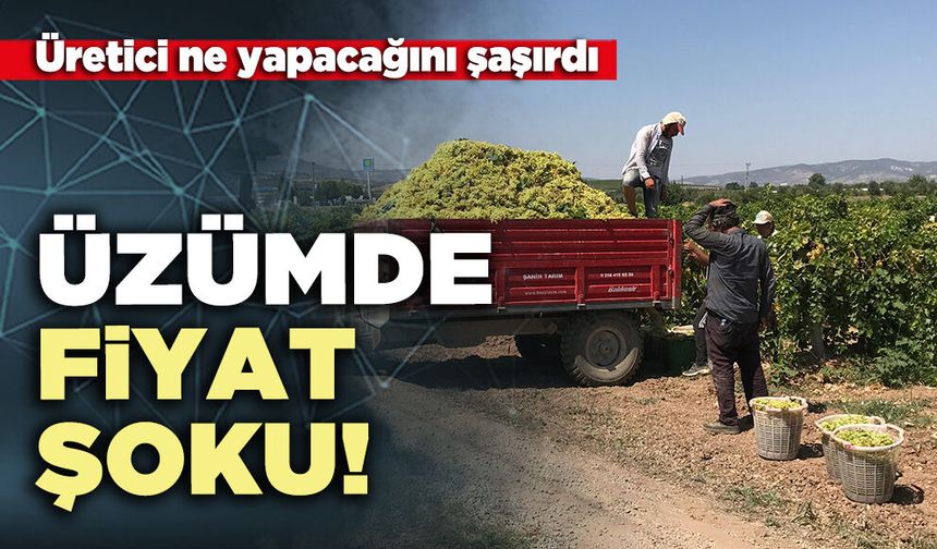 Üzümde fiyat şoku!  Üretici ne yapacağını şaşırdı