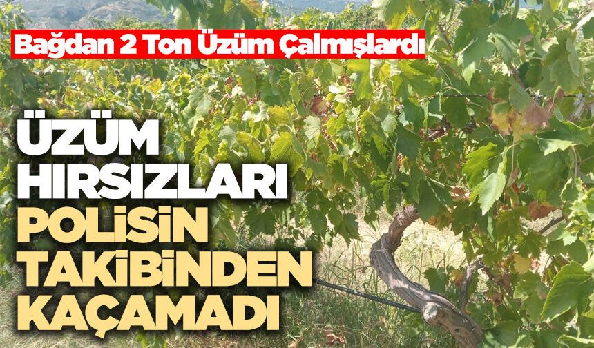 Üzüm Hırsızları Polisin Takibinden Kaçamadı
