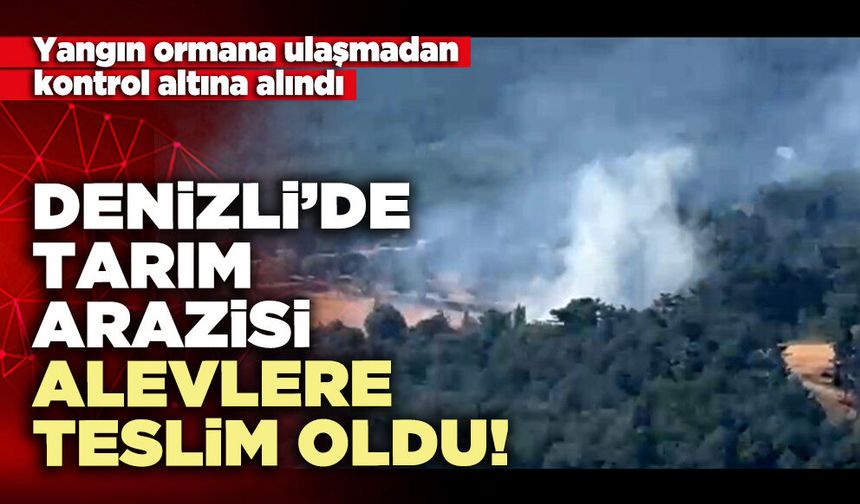 Denizli’de tarım arazisi alevlere teslim oldu!