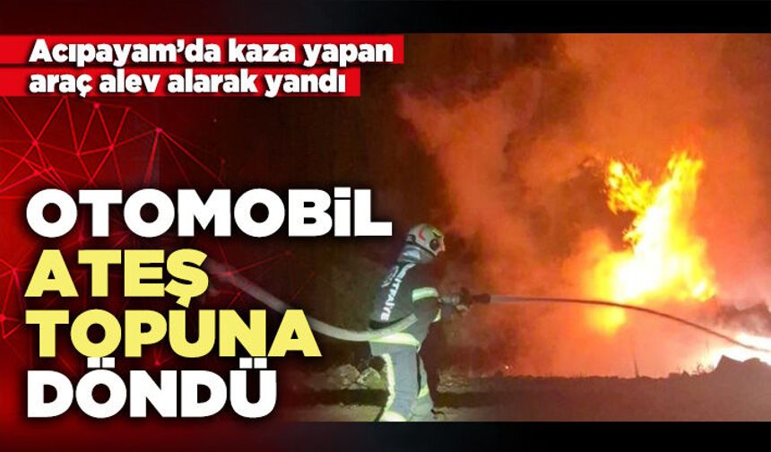 Otomobil ateş topuna döndü