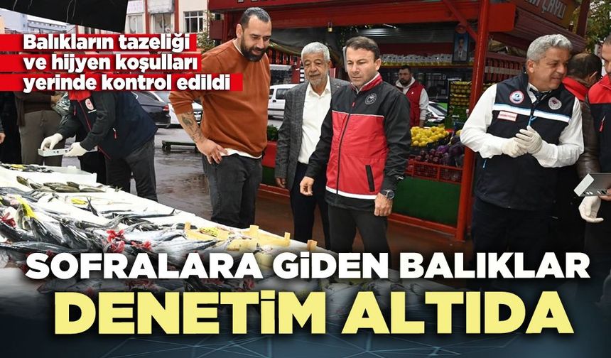 Sofralara giden balıklar denetim altıda
