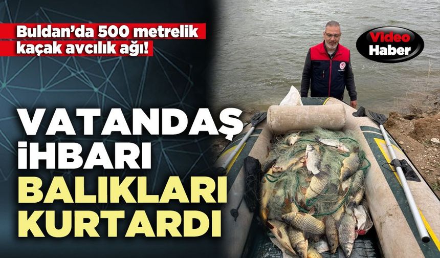Vatandaş ihbarı balıkları kurtardı