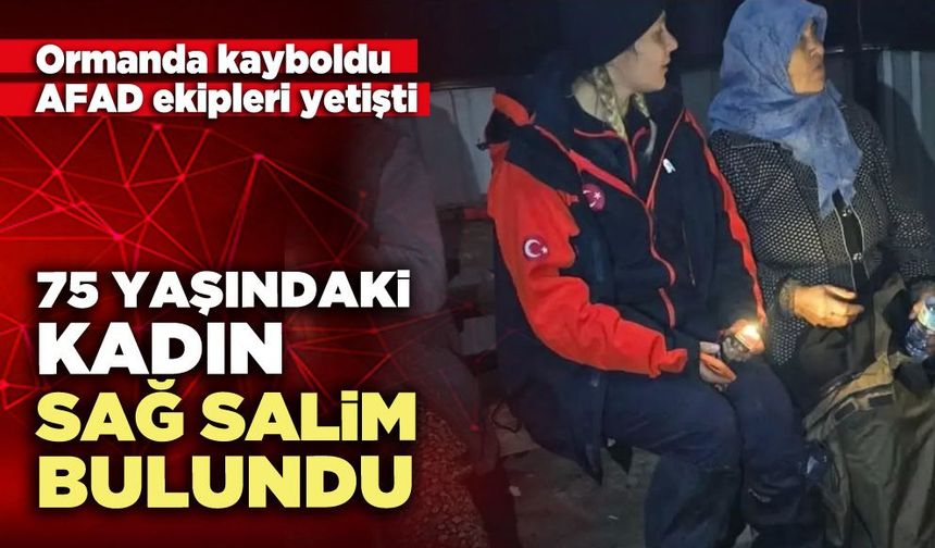 Ormanda kaybolan 75 Yaşındaki kadın sağ salim bulundu
