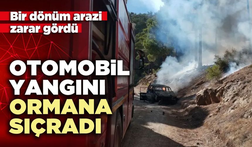 Otomobil yangını ormana sıçradı