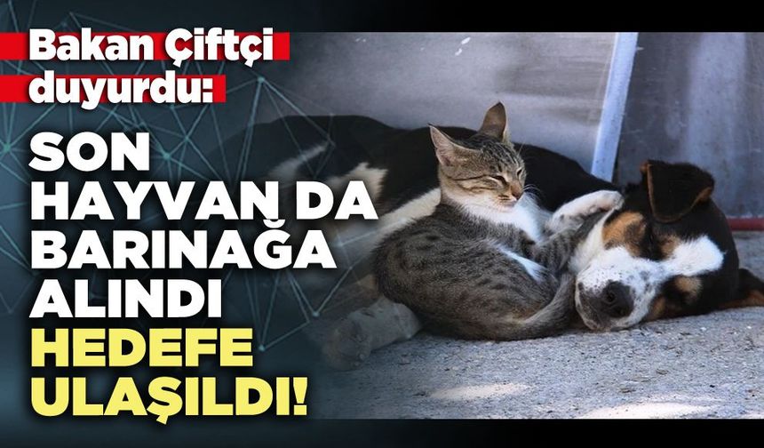 Bakan Çiftçi duyurdu: Son hayvan da barınağa alındı, hedefe ulaşıldı!