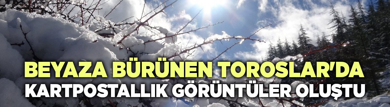 Beyaza Bürünen Toroslar'da  Kartpostallık Görüntüler Oluştu