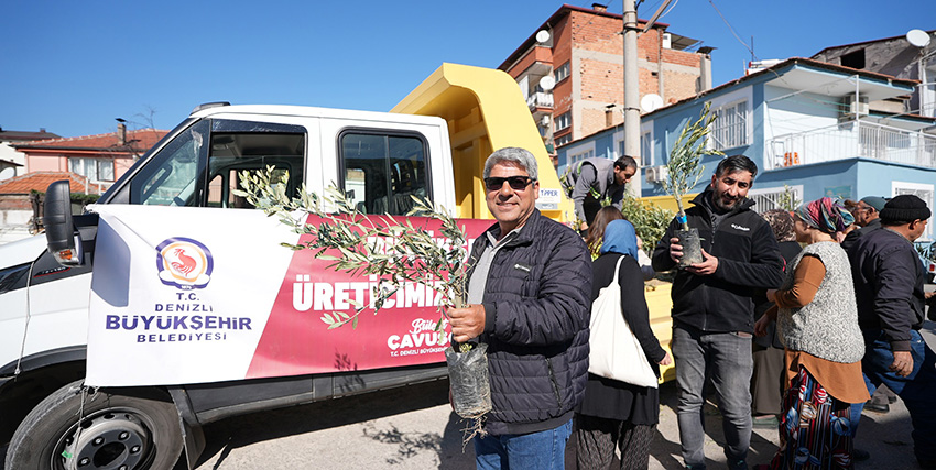 Denizli Büyükşehir’den Zeytin Fidanı Seferberliği (1)