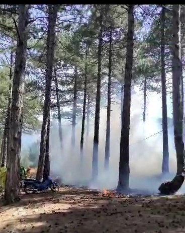 Denizli’de Orman Yangınına Anında Müdahale (3)