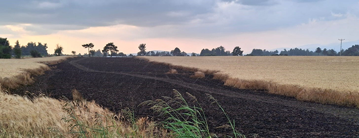 A W500088 04
