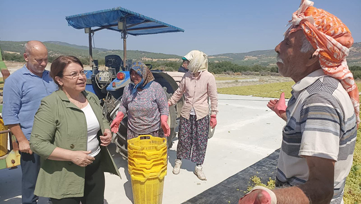 Buldanüzümüreticileriyle