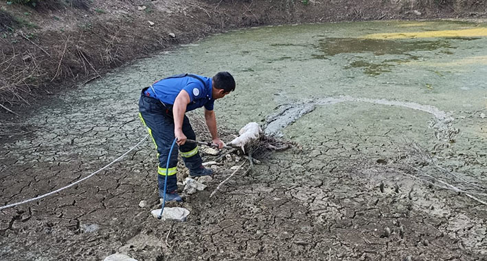 Büyükşehir İtfaiye’den Gönülleri Isıtan Kurtarma (2)