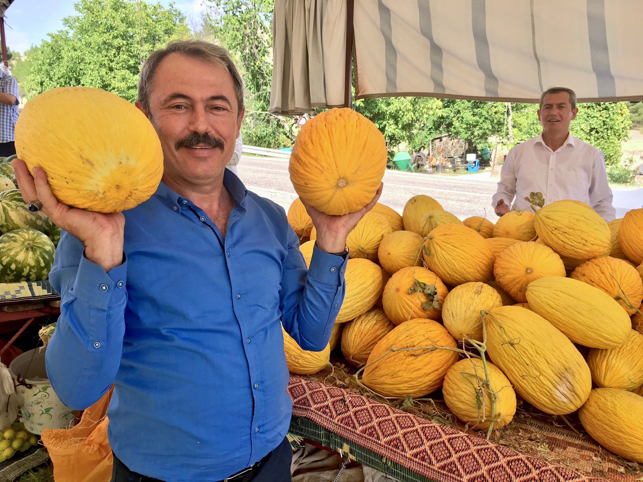 Acıpayamkavunu3