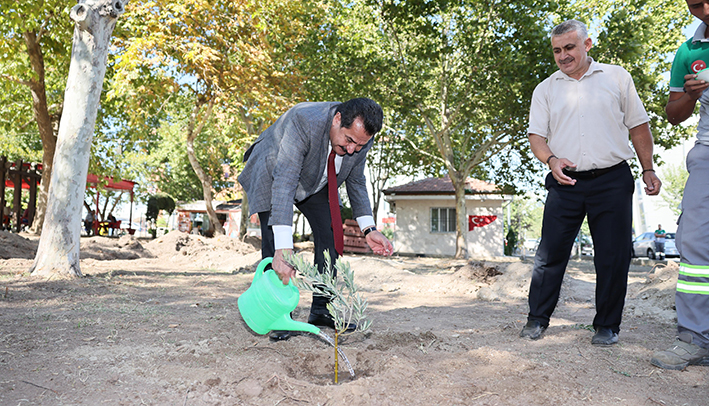 Dokuzkavaklar Park 12