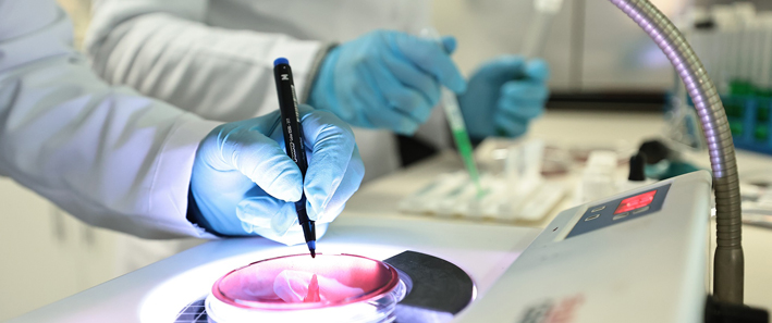 Dençev, Türkak Denetimini Başarıyla Tamamladı (6)