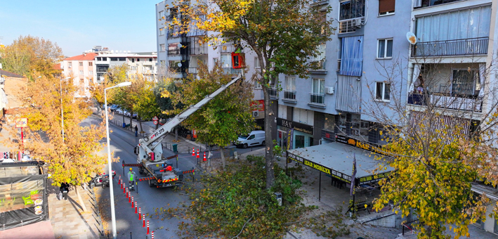 Büyükşehir’de Park Ve Yeşil Alanlarda Budama Çalışmaları Sürüyor (1)