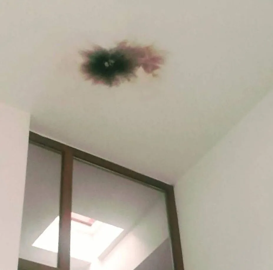 Denizlihaber Yildirim2