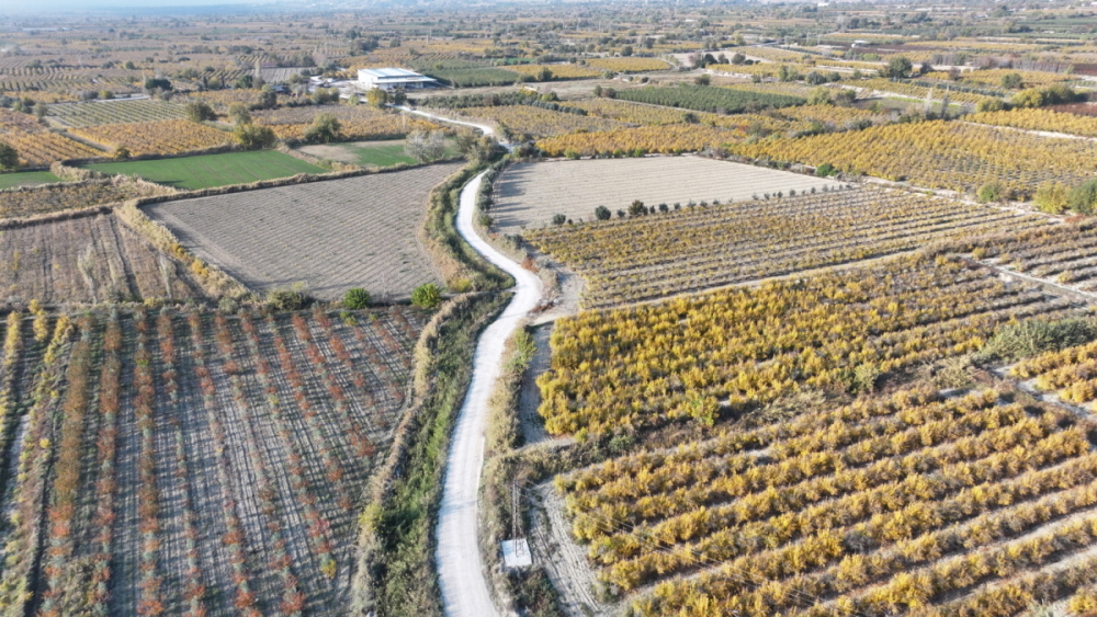 Irliganli Kocaarik (1)