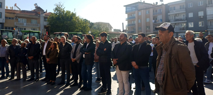 Whatsapp Image 2025 11 16 At 11.50.40