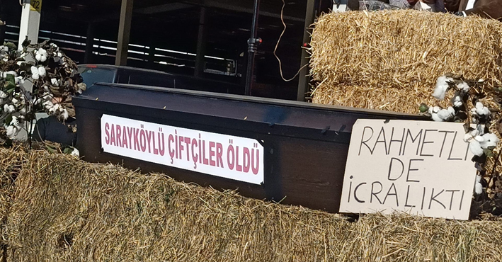 Whatsapp Image 2025 11 16 At 11.54.38