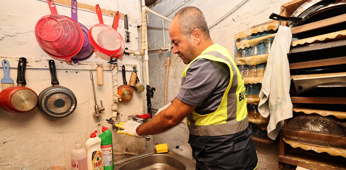 Ulu Çınarların Tamirat Derdi Bitti (3)