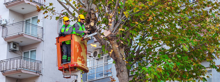 Büyükşehir’den Israfı Önleyen, Kaynakları Halka Aktaran Öncü Proje (1)