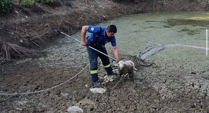 Denizli Büyükşehir’in Ateş Savaşçıları 724 Sahada (5)
