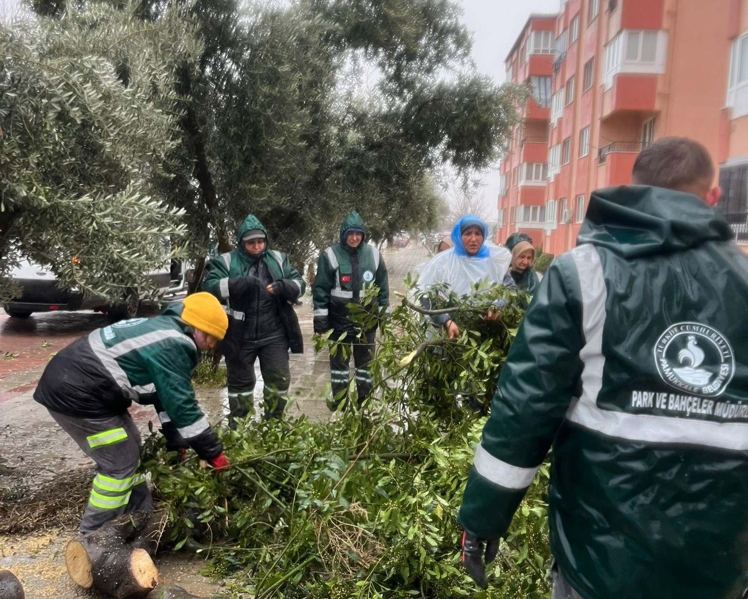 Fırtına Pamukkale Bld (1)
