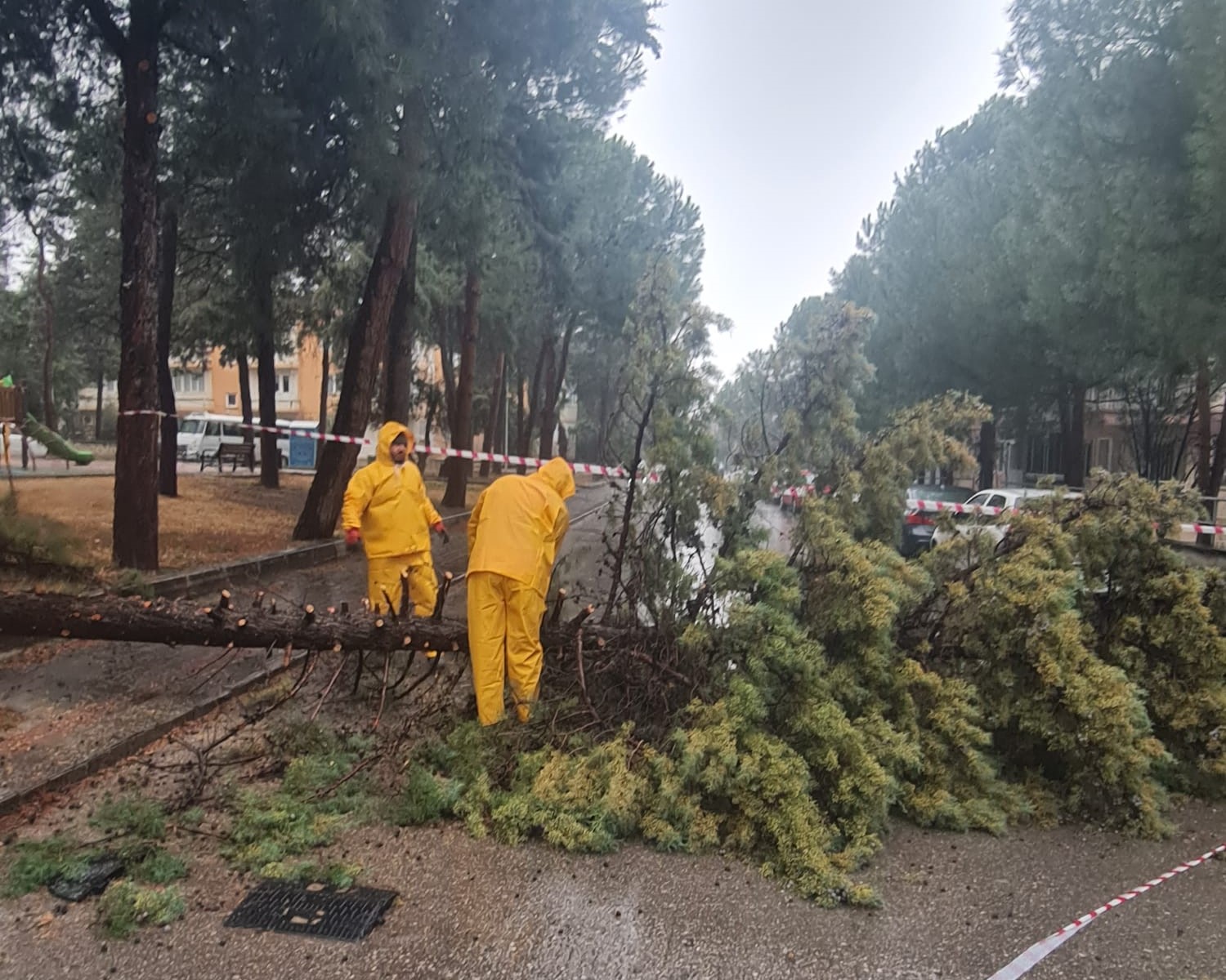 Fırtına Pamukkale Bld (10)