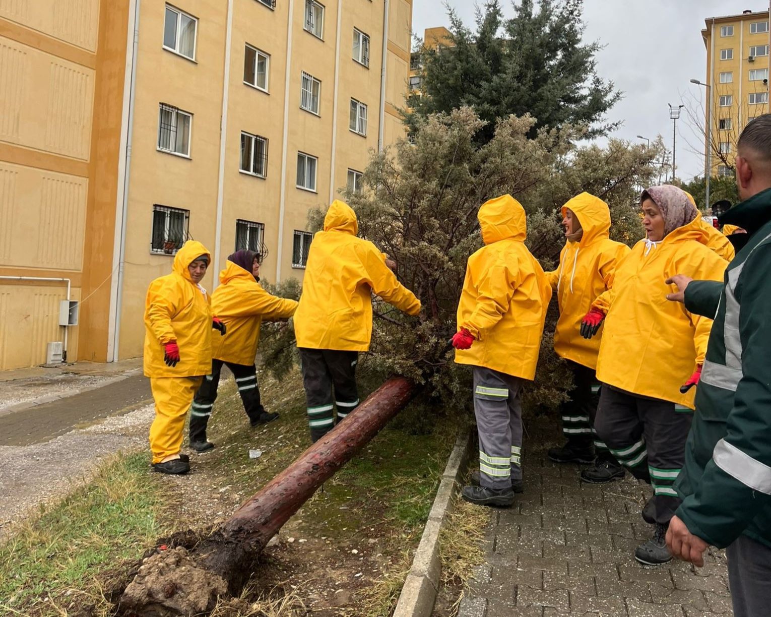 Fırtına Pamukkale Bld (2)