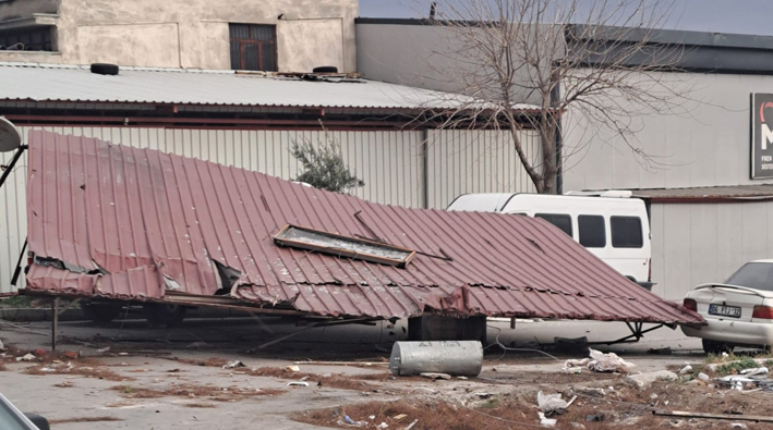 Whatsapp Image 2026 01 08 At 11.26.45 (4)