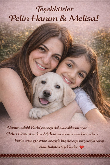 Whatsapp Image 2026 01 14 At 14.44.47