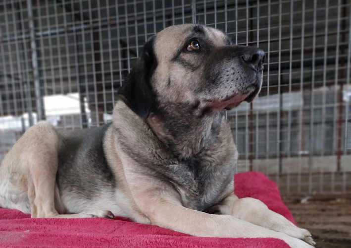 Whatsapp Image 2026 01 14 At 14.44.48 (1)