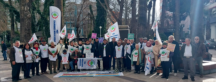 Whatsapp Image 2026 01 29 At 17.20.07