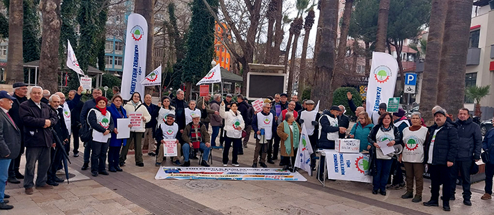 Whatsapp Image 2026 01 29 At 17.20.08 (5)