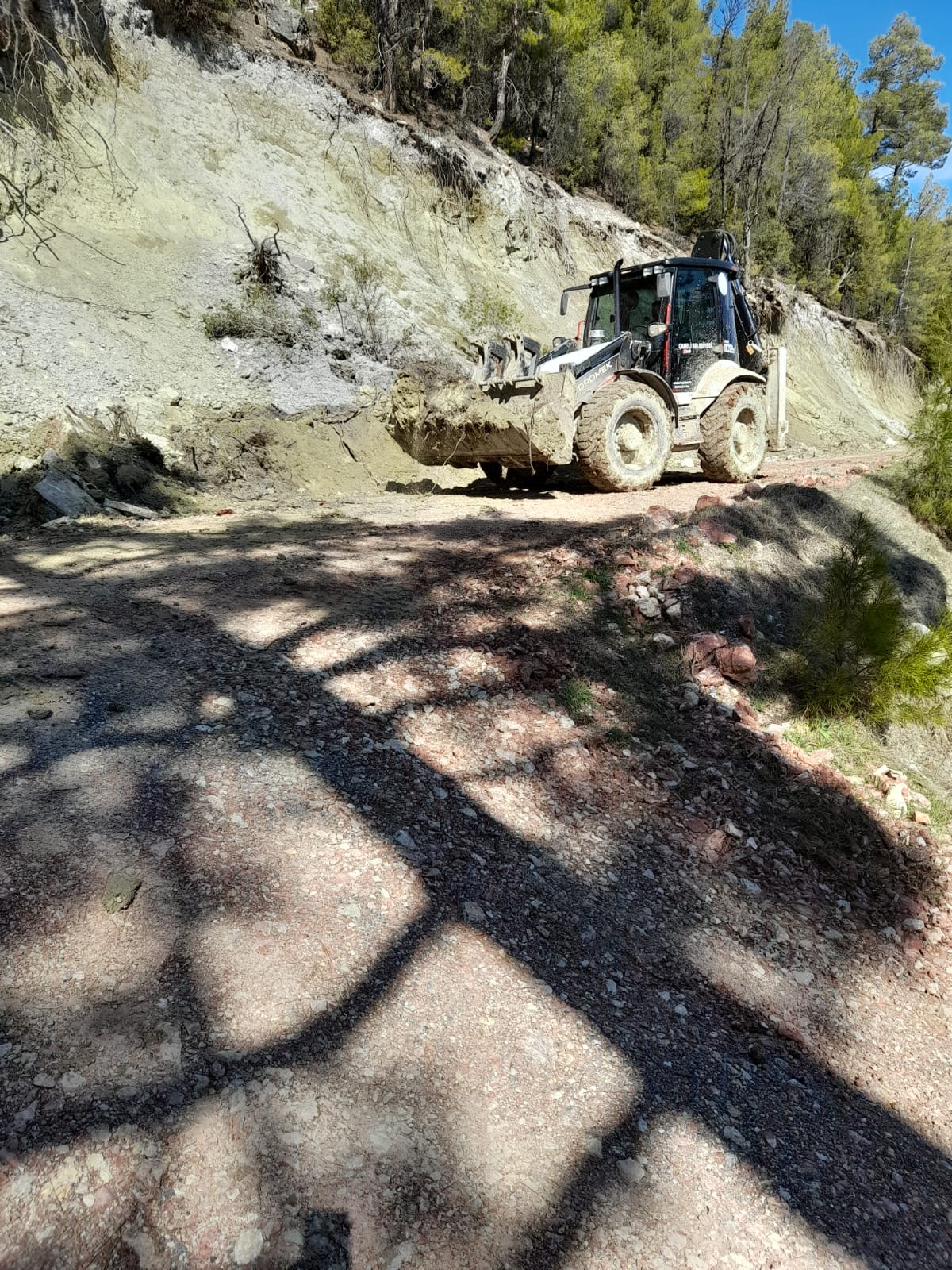 C5C15776 7431 43D4 8B8D Fe8Fb8915C57