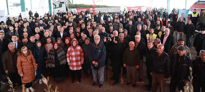 Denizli Büyükşehir’den Üreticiye 84 Bin Sertifikalı Zeytin Fidanı (10)